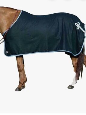 Centura brand Horse Cooler Sheet with Light Blue Trim